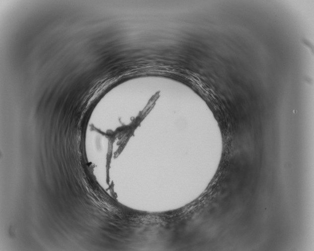 X0000097290146200802151106