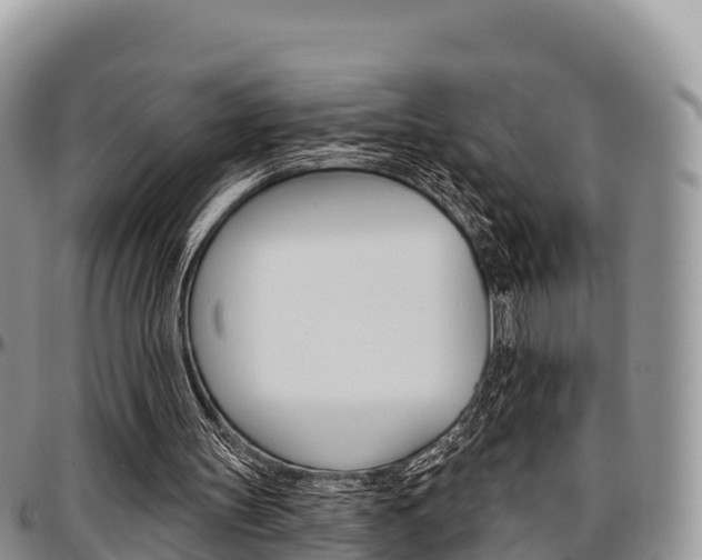 X0000097290147200802151106