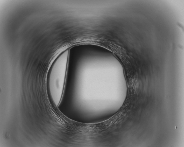 X0000097290148200802151106