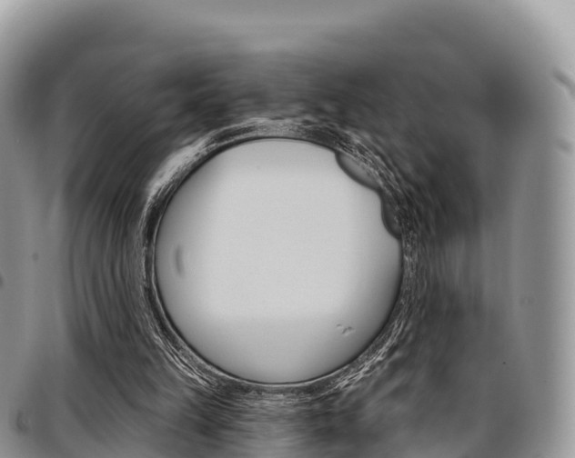 X0000097290149200802151106