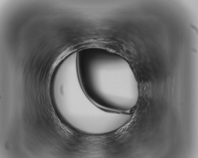 X0000097290150200802151106