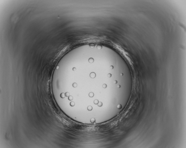 X0000097290153200802151107