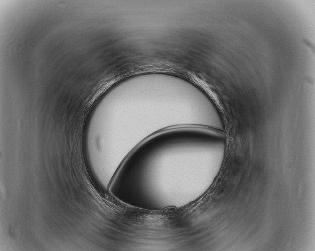 X0000097290154200802151107
