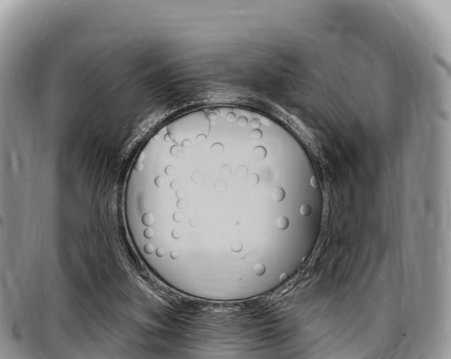 X0000097290155200802151107