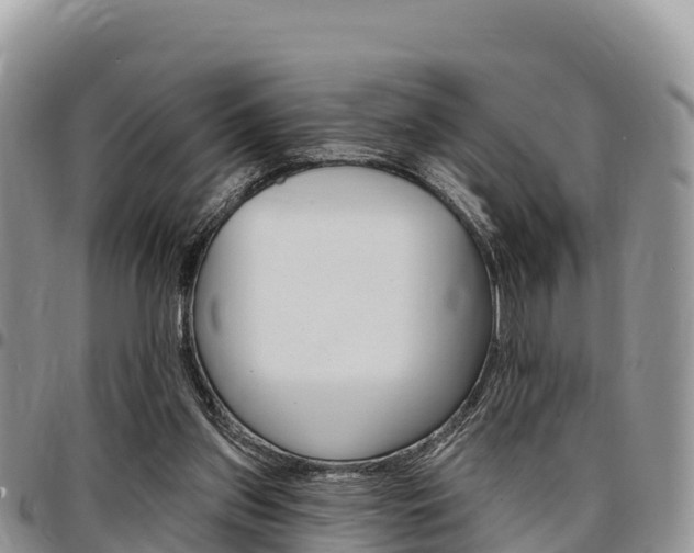 X0000097290157200802151107