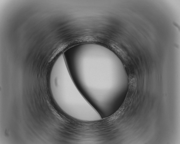 X0000097290158200802151107