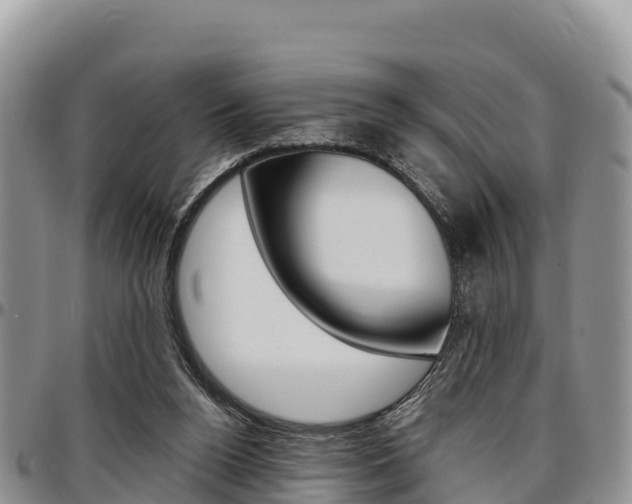 X0000097290160200802151107