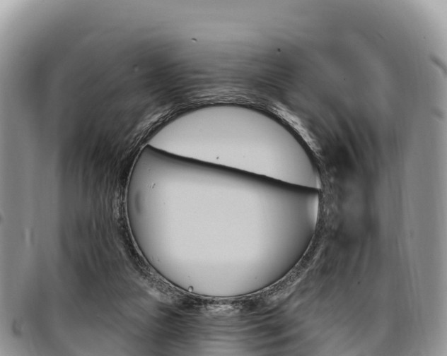 X0000097290161200802151107