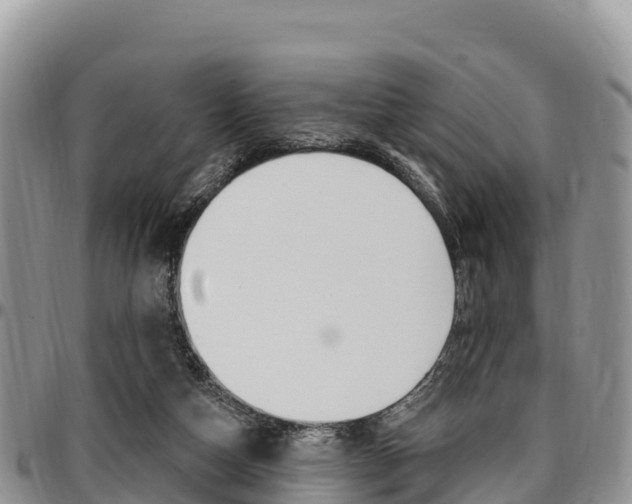 X0000097290162200802151107