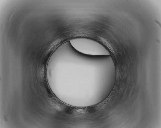 X0000097290163200802151107