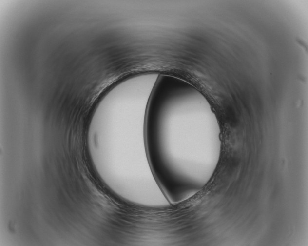 X0000097290164200802151107
