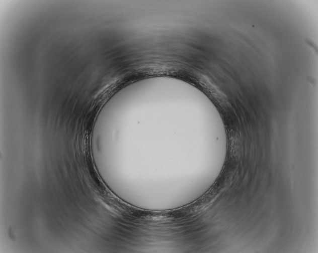 X0000097290165200802151107