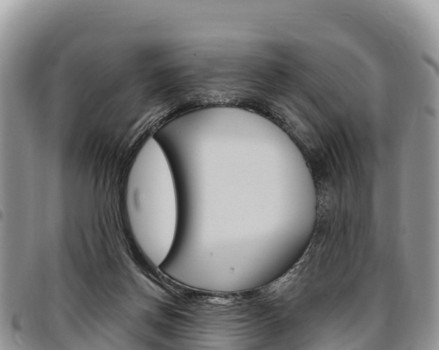 X0000097290166200802151107