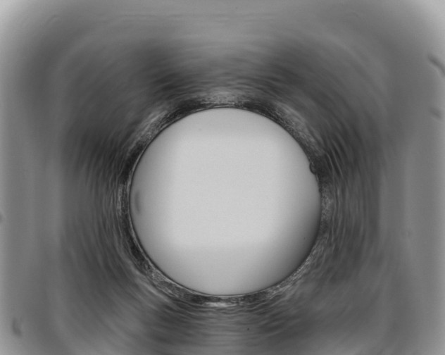 X0000097290167200802151107