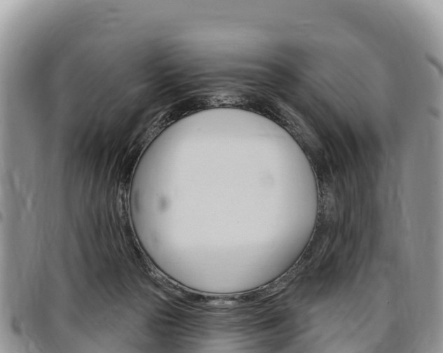 X0000097290169200802151107