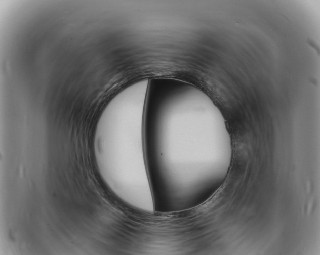 X0000097290170200802151107