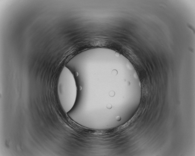 X0000097290171200802151107
