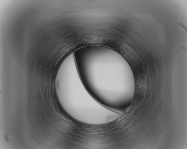 X0000097290172200802151107