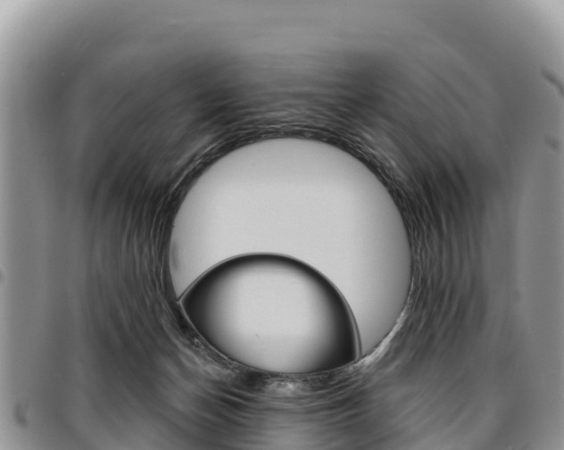 X0000097290174200802151107