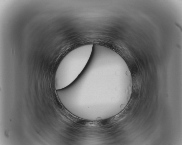 X0000097290175200802151107