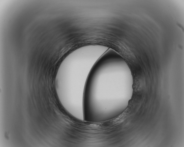 X0000097290176200802151107