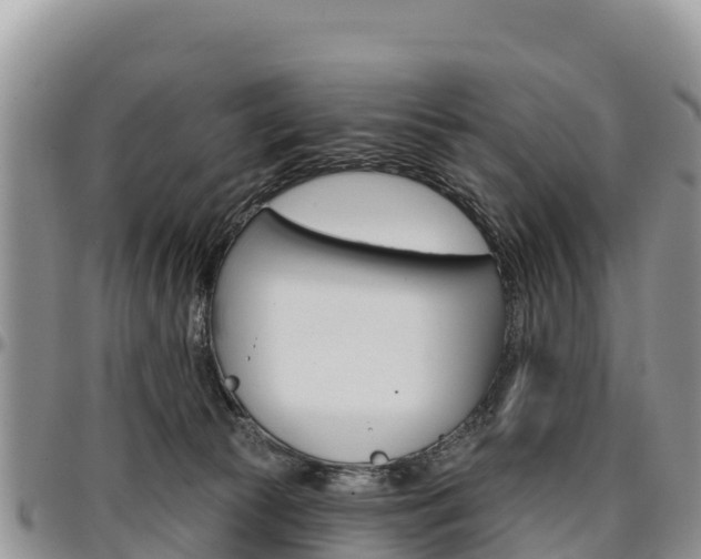 X0000097290177200802151107