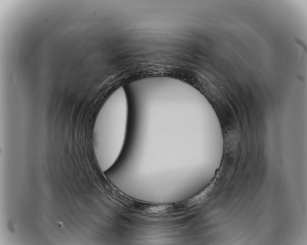 X0000097290178200802151107