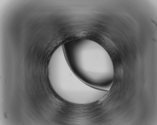 X0000097290180200802151107