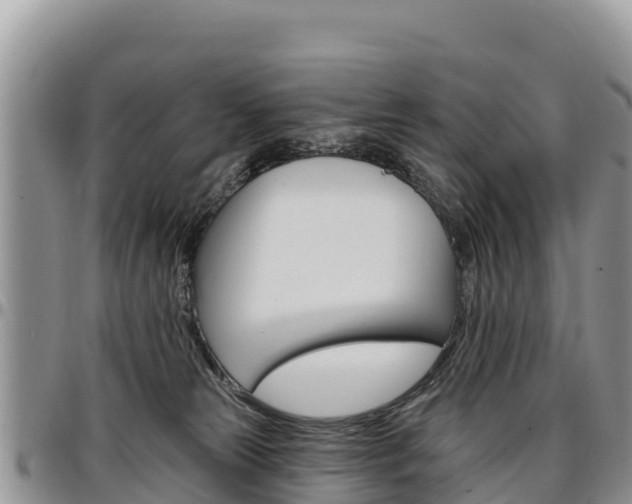 X0000097290181200802151107