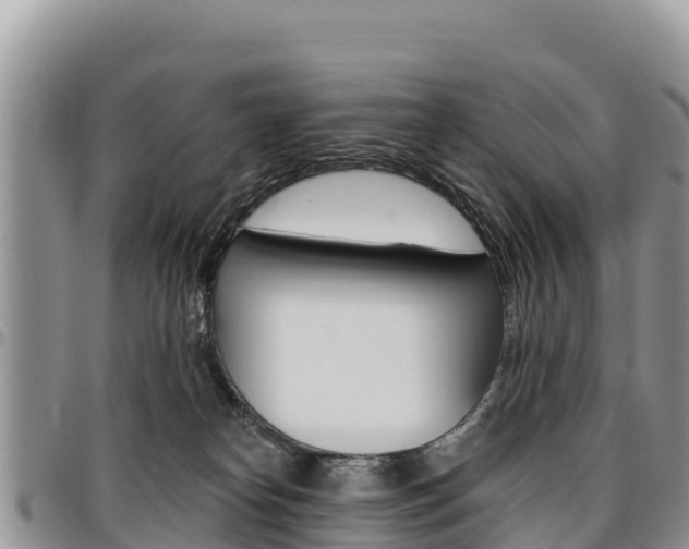 X0000097290182200802151107