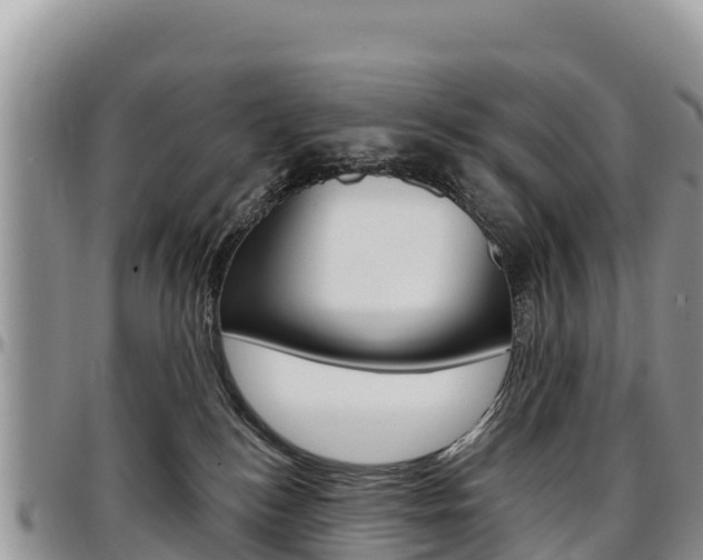 X0000097290184200802151107