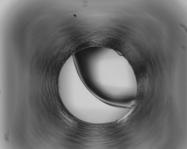 X0000097290186200802151107