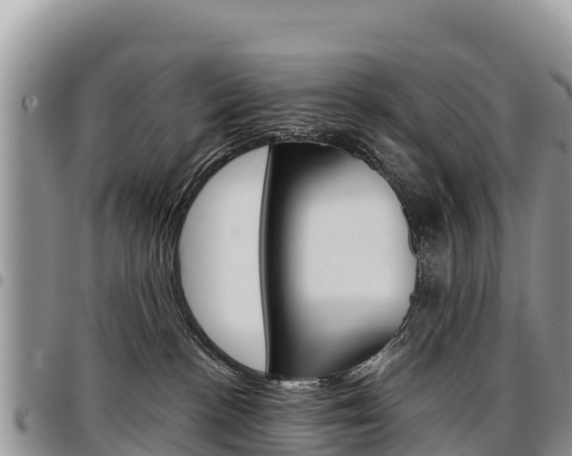 X0000097290188200802151107