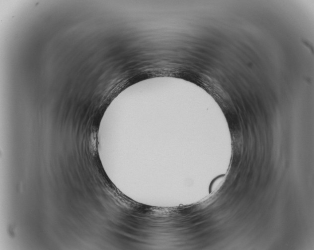 X0000097290190200802151107