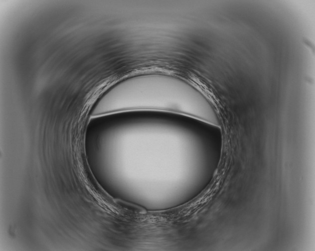 X0000097290193200802151106