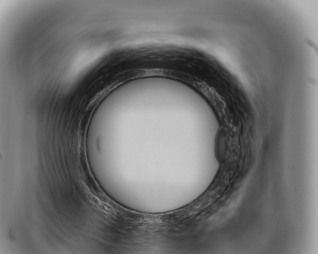 X0000097290194200802151106