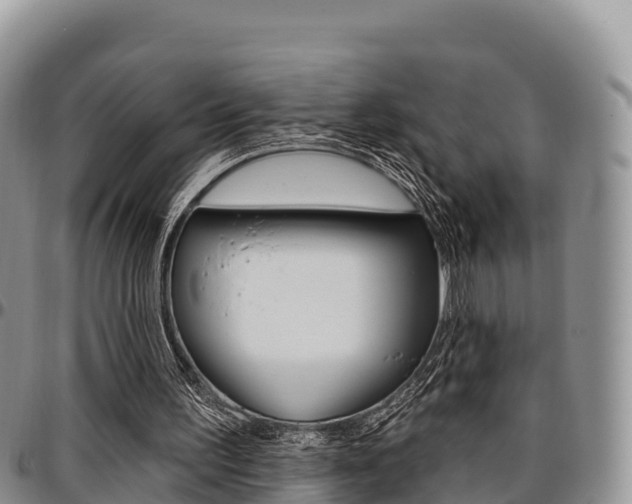 X0000097290195200802151106