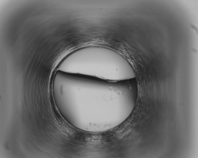 X0000097290196200802151106