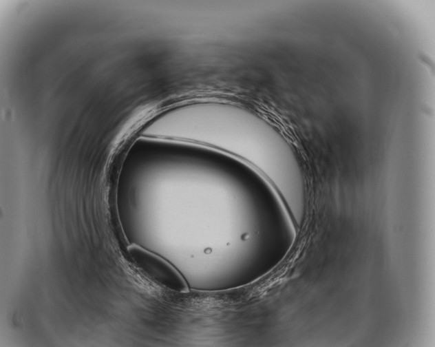 X0000097290197200802151106