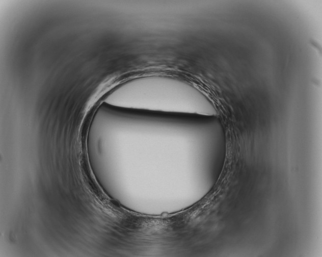 X0000097290198200802151106