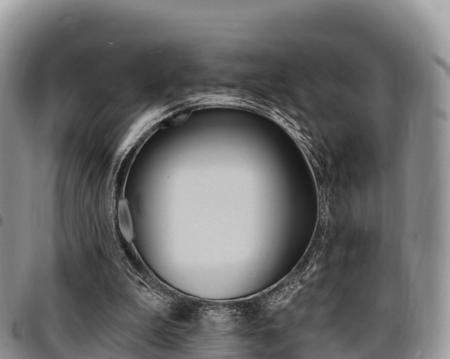 X0000097290199200802151106