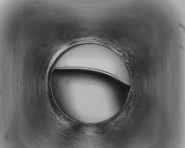 X0000097290200200802151106