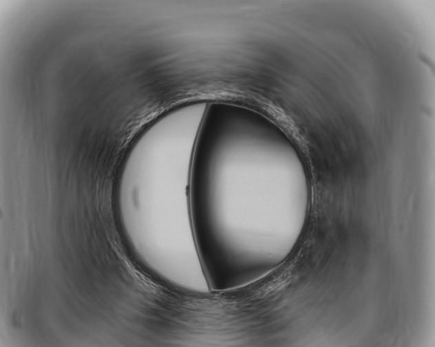 X0000097290201200802151106