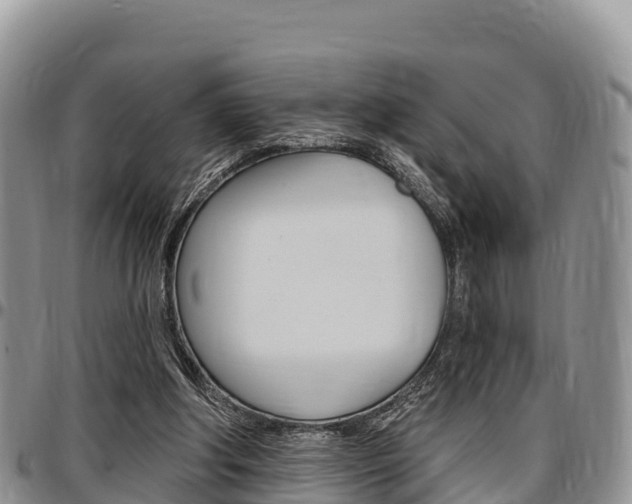 X0000097290202200802151106