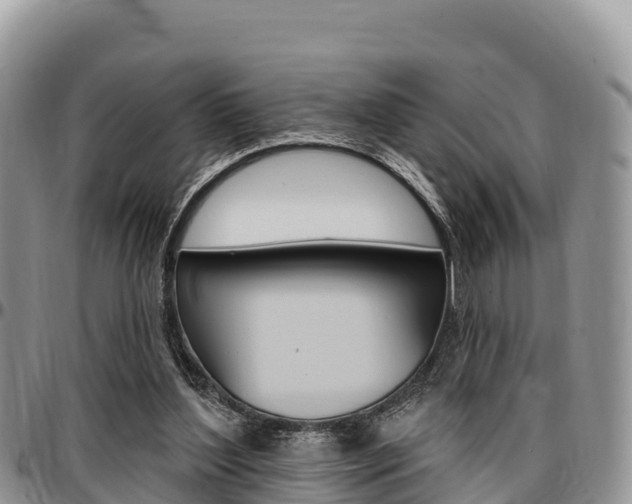 X0000097290204200802151106