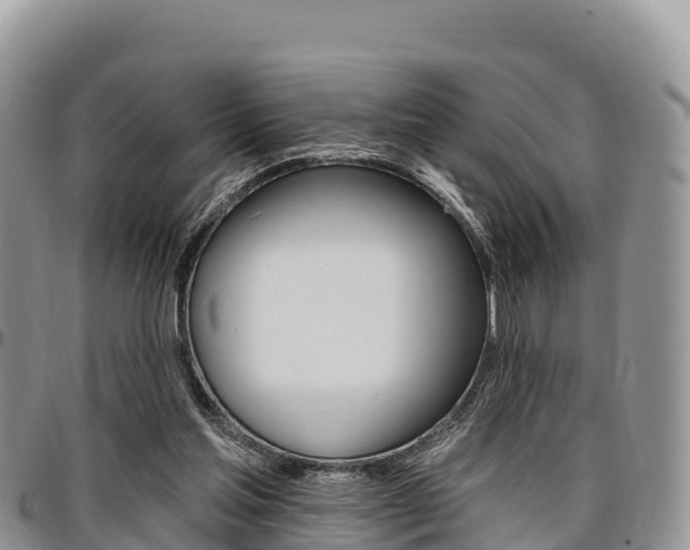 X0000097290205200802151106