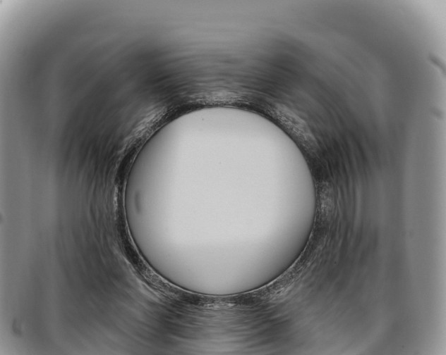 X0000097290206200802151106