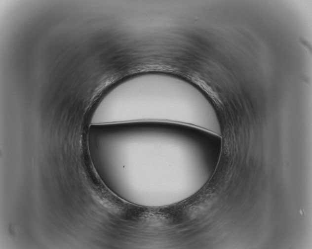 X0000097290207200802151106