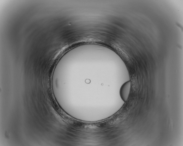 X0000097290208200802151106