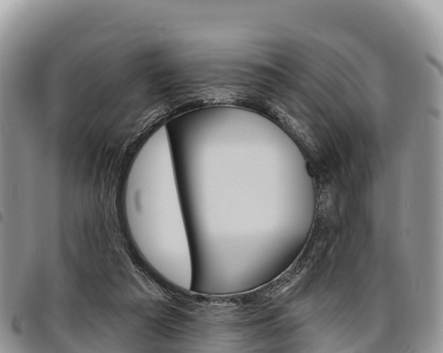 X0000097290209200802151106